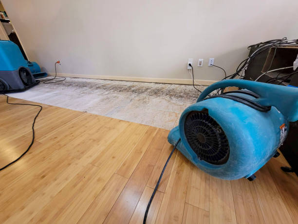 Professional Water Removal technician working in Columbus Grove, OH